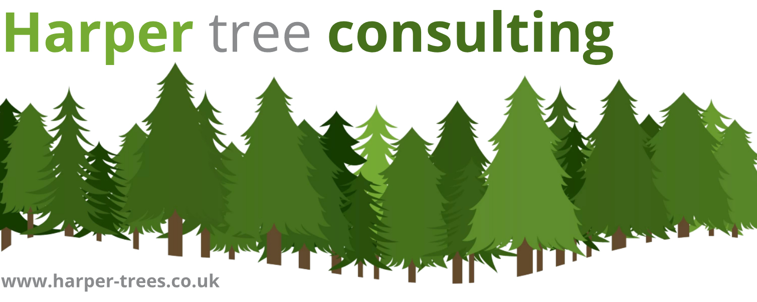 Harper Tree Consulting